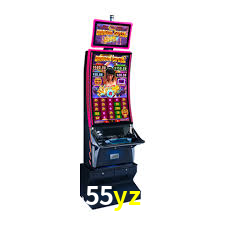 Programa VIP 55yz